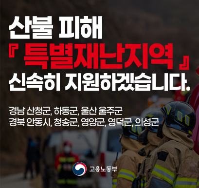 산불 피해 특별재난지역 관련